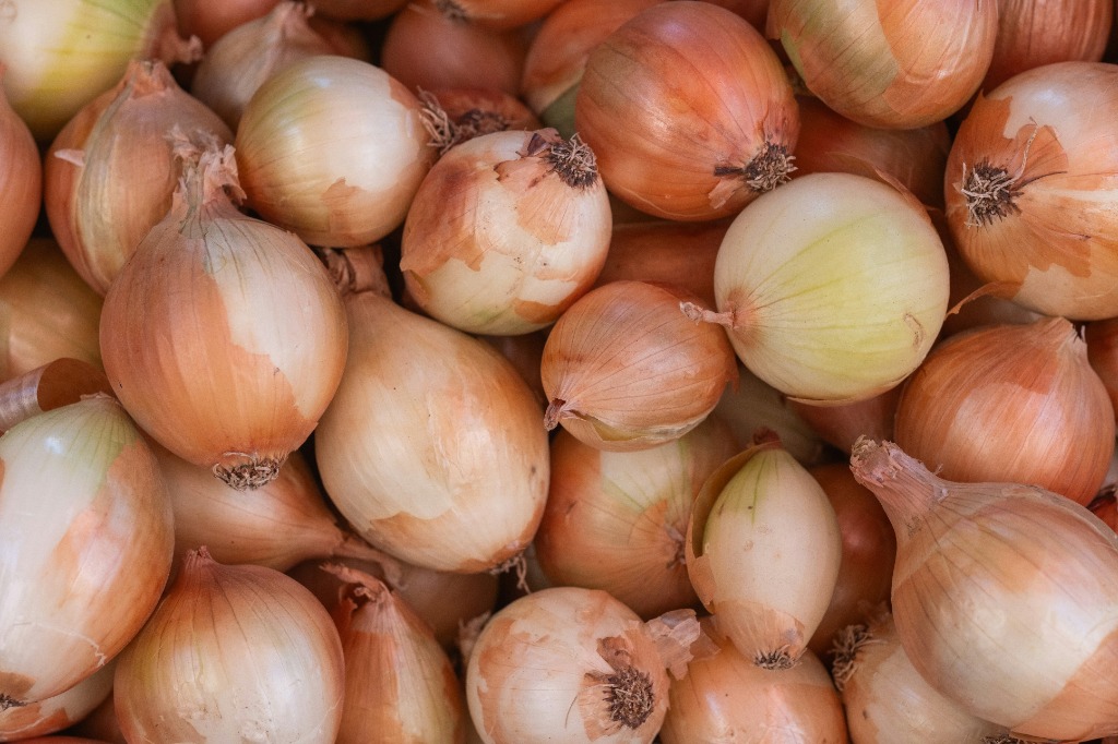 Argentine Onion